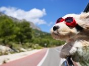 Предки верили, что 16 июня ветер обладает особой силой