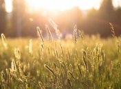 Прогноз погоды в Украине на 24 мая: жара до +31 