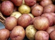 Картофель из Беларуси повлиял на цены в Украине