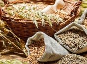 Госпродпотребслужба: Украина снизила экспорт зерновых