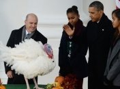 Соединенные Штаты отмечают национальный праздник - День благодарения