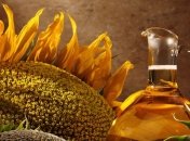 Масличные предприятия Украины приостановили темпы переработки