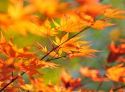 6 ноября. Приметы дня