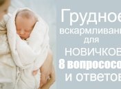 Кормление грудью: гид для начинающих