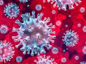 Коронавирусом в Украине с начала пандемии заболели 2 296 155 человек.