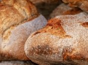 Хлеб быстро плесневеет: в чем может быть причина