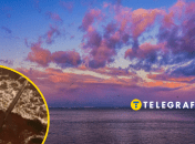 Коллаж "Телеграфа"