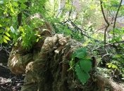 Окупантів знищують як масово, так і точково