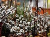 Вербное воскресенье: традиции и обряды в праздник