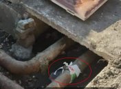 Ремонт труб в Кам’янському