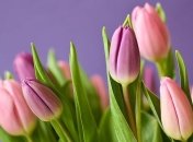 Красивые поздравления с Днем рождения в прозе на 11 марта