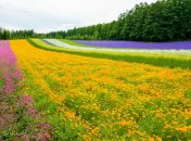 3 июля. Приметы дня