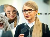 Юлия Тимошенко почти не меняется