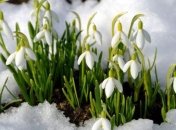 Прогноз погоды на 30 марта в Украине: идет потепление