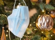 "Еще несколько месяцев жертв": в ВОЗ дали совет, как можно встретить Новый год в компании