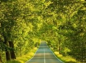 Прогноз погоды в Украине на 27 сентября: будет солнечно