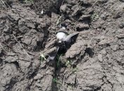 Окупанти випустили дві авіаційні ракети по Павлополю