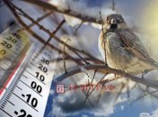 Снег и тепло до +18: какой будет погода на Благовещение