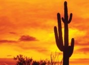 "Страна семи чудес" на территории Мексики 