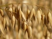 Приметы и обряды на 9 августа – День Пантелеймона Целителя