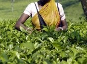 В Индии рабочие убили и съели работодателя