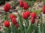 Погода на неделю: в Украину идут дожди и похолодание 