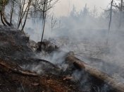 В Чернобыле все еще тушат пожары (Фото)