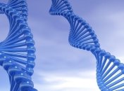 Биологи объяснили невозможность клонирования динозавров