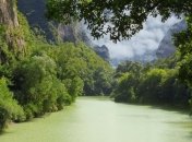 Амазония "рассказала" ученым о всех климатических изменениях