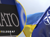 Украине не нужны альтернативы членству в НАТО