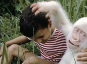 Белые вороны и не только: как выглядят животные-альбиносы (Фото)