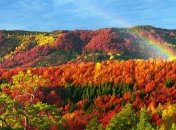 Прогноз погоды в Украине на 25 октября: ожидается небольшое потепление