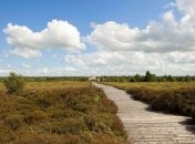 Древние деревянные дороги Ирландии (Фото)