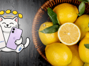 iPhone 17 и iPhone Air от "Монобанка" - в чем у них разница