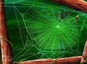 Профессор хочет лечить людей, запустив внутрь них пауков