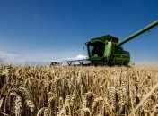 В Украине начали уборку ранних зерновых