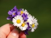 31 мая. Приметы дня