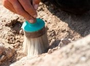 Археологи рассказали, чем питались дети в средневековой Англии 