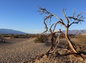 Може бути ще вище: Долина Смерті в США прогрілася до 54,4 °C