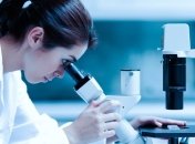 Ученые нашли подтверждение, что у предков человека были щупальца