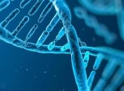 Ученые: коронавирус 20 тысяч лет назад мог отпечататься в ДНК