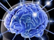 Стало известно, какая зона мозга отвечает за измерение времени