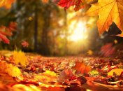 Перерыв между дождями в сентябре все же будет, но совсем короткий