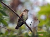 Какой праздник 1 мая: народные приметы и запреты