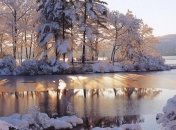 Просто лютий