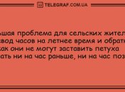 Начинаем день с улыбки: прикольные анекдоты с самого утра