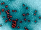 Ученые: вакцина не спасет от нового штамма вируса полиомиелита  