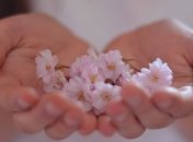 95% людей на Земле не правильно моют руки