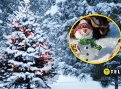 Ялинка у снігу та сніговичок