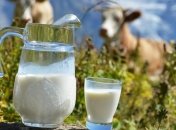 Чем опасно сырое молоко?